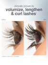 Two close-up images of eyelashes demonstrate a before and after effect. The after lashes appear volumized, lengthened, and curled. Text states: clinically proven to volumize, lengthen & curl lashes**. **based on a clinical study of 33 subjects.