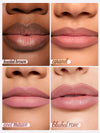 Four close-up shots of lips wearing different matte lip shades, arranged in a two-by-two grid. Each panel labeled: toasted brown; caramel; cool mauve; blushed rose.