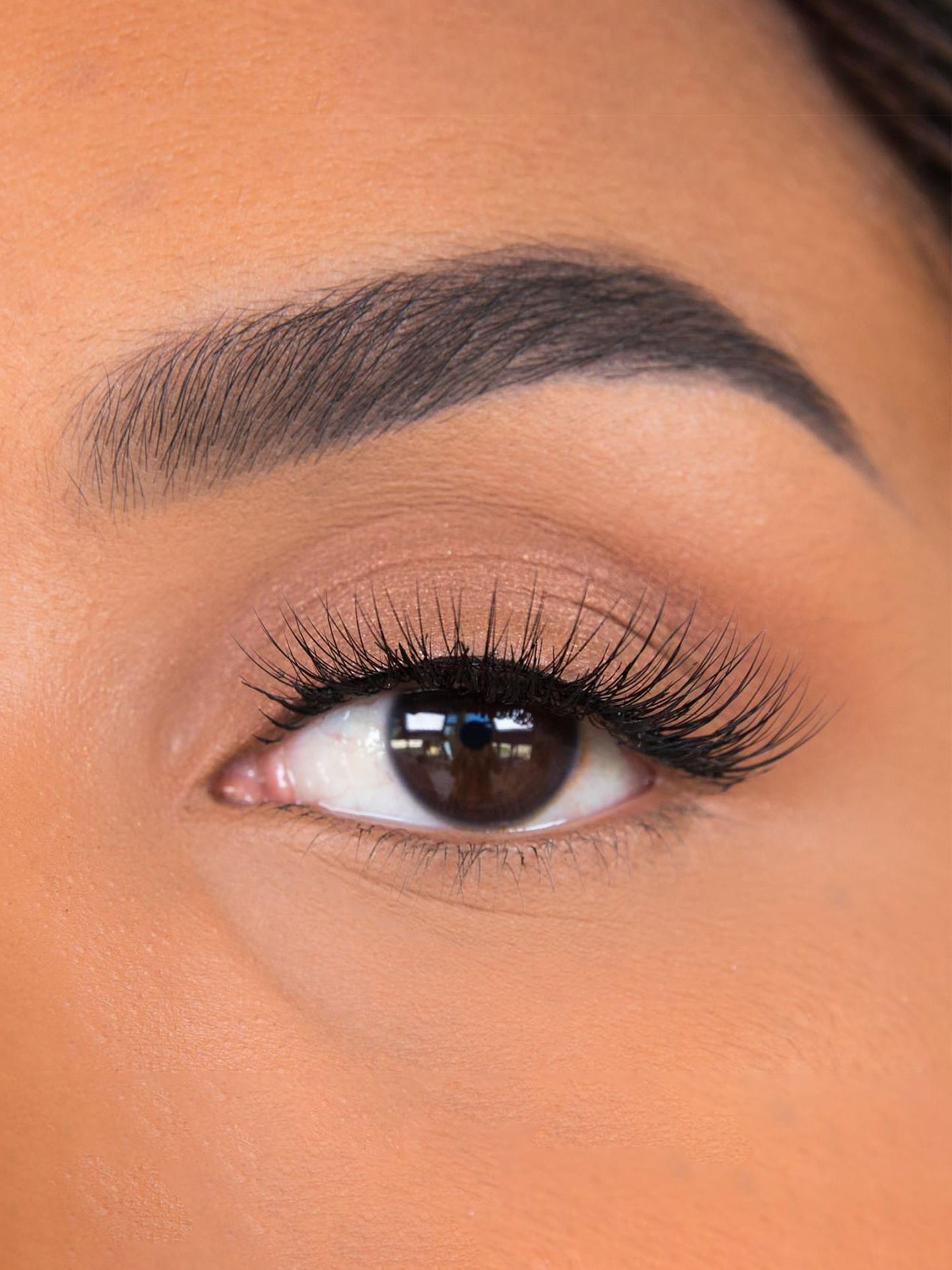 Close-up of a person's eye with long, thick eyelashes and well-groomed eyebrow.