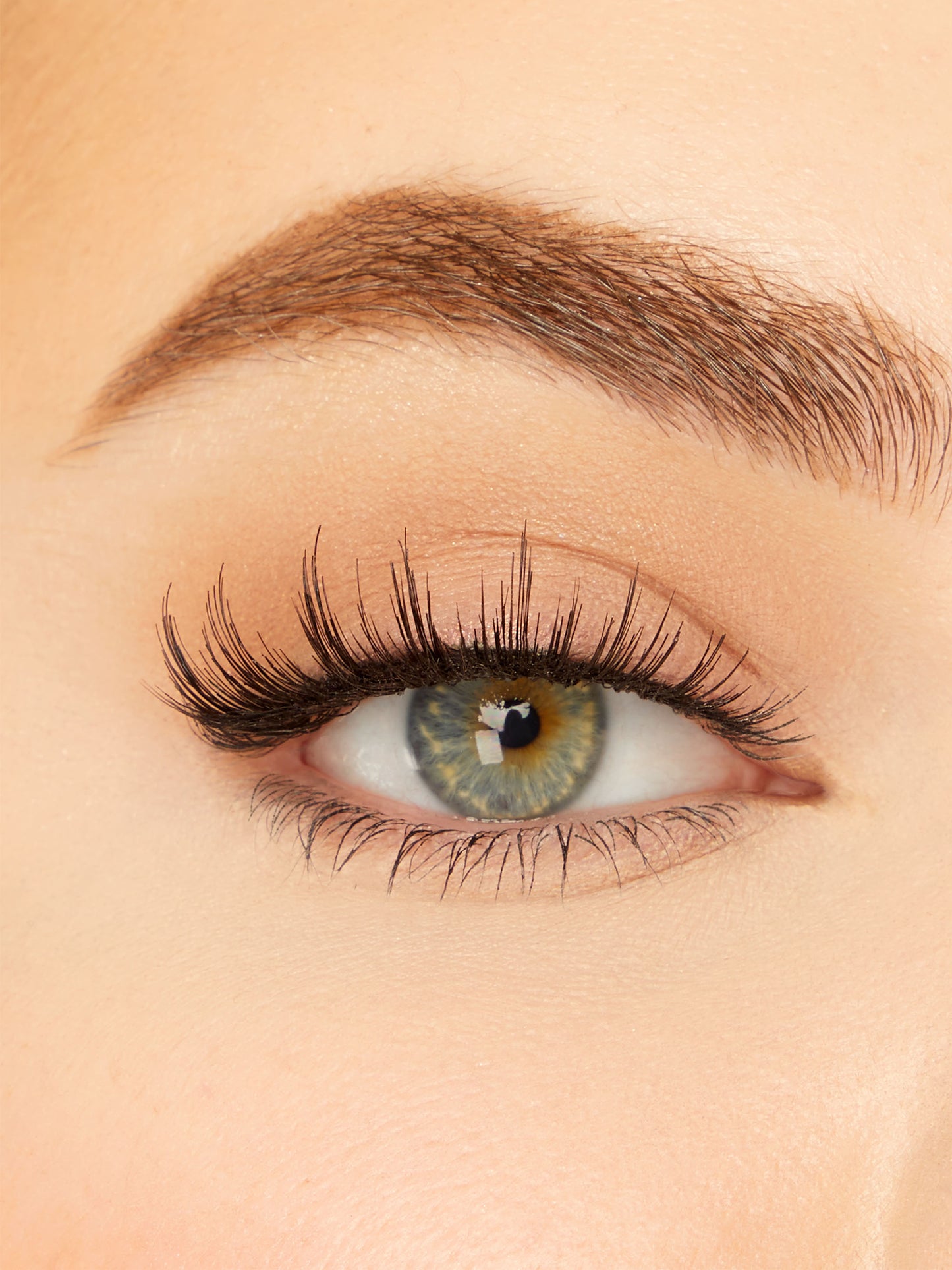 Close-up of a person's eye with detailed eyelashes and eyebrow.