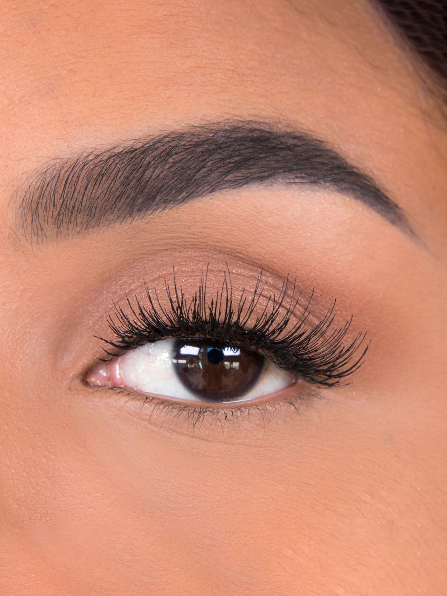 Close-up of an eye with long, thick eyelashes and well-groomed eyebrow.