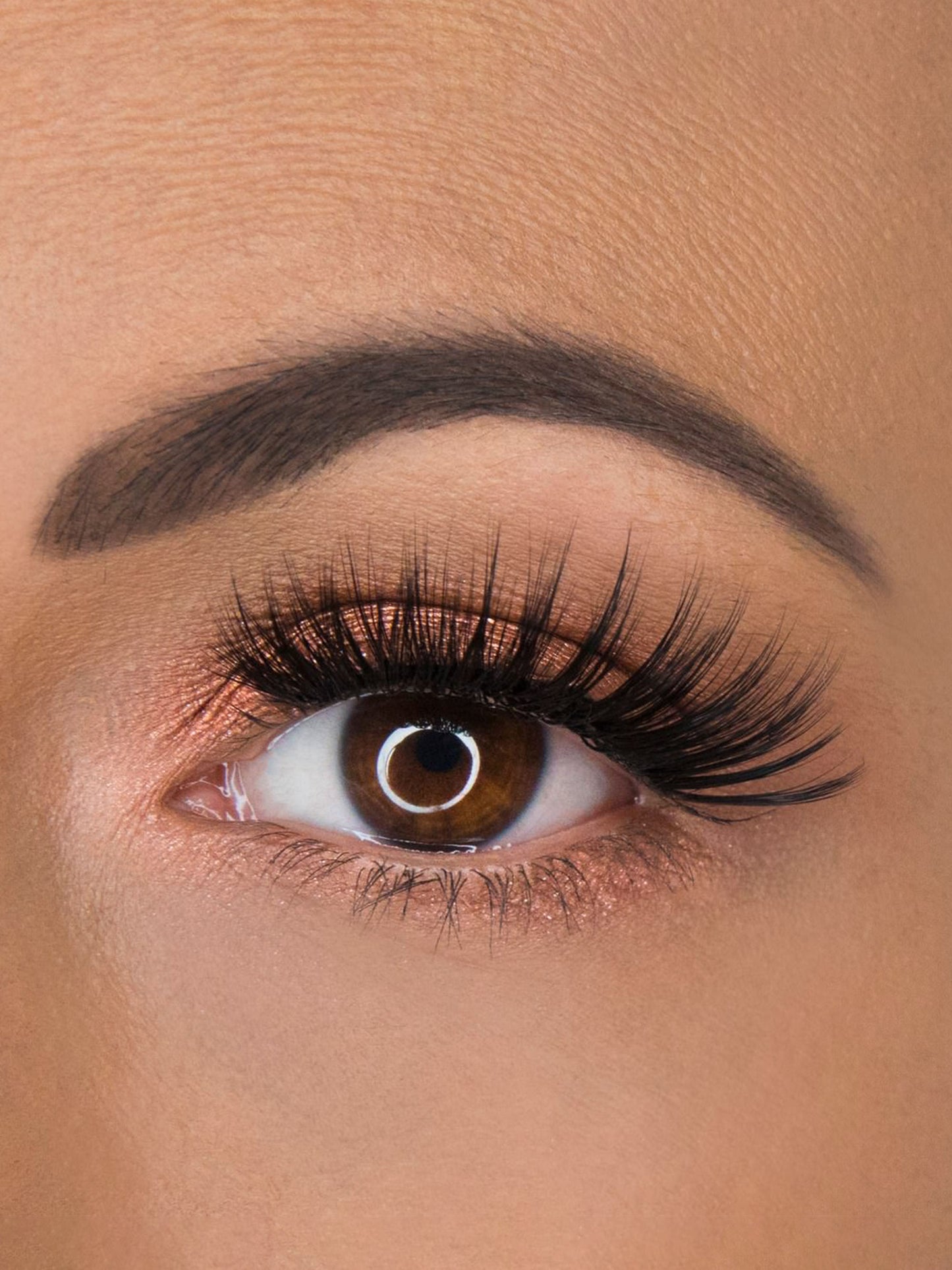 Close-up of a brown eye with long, thick eyelashes and well-defined eyebrow.