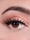 Close-up of a brown eye with long eyelashes