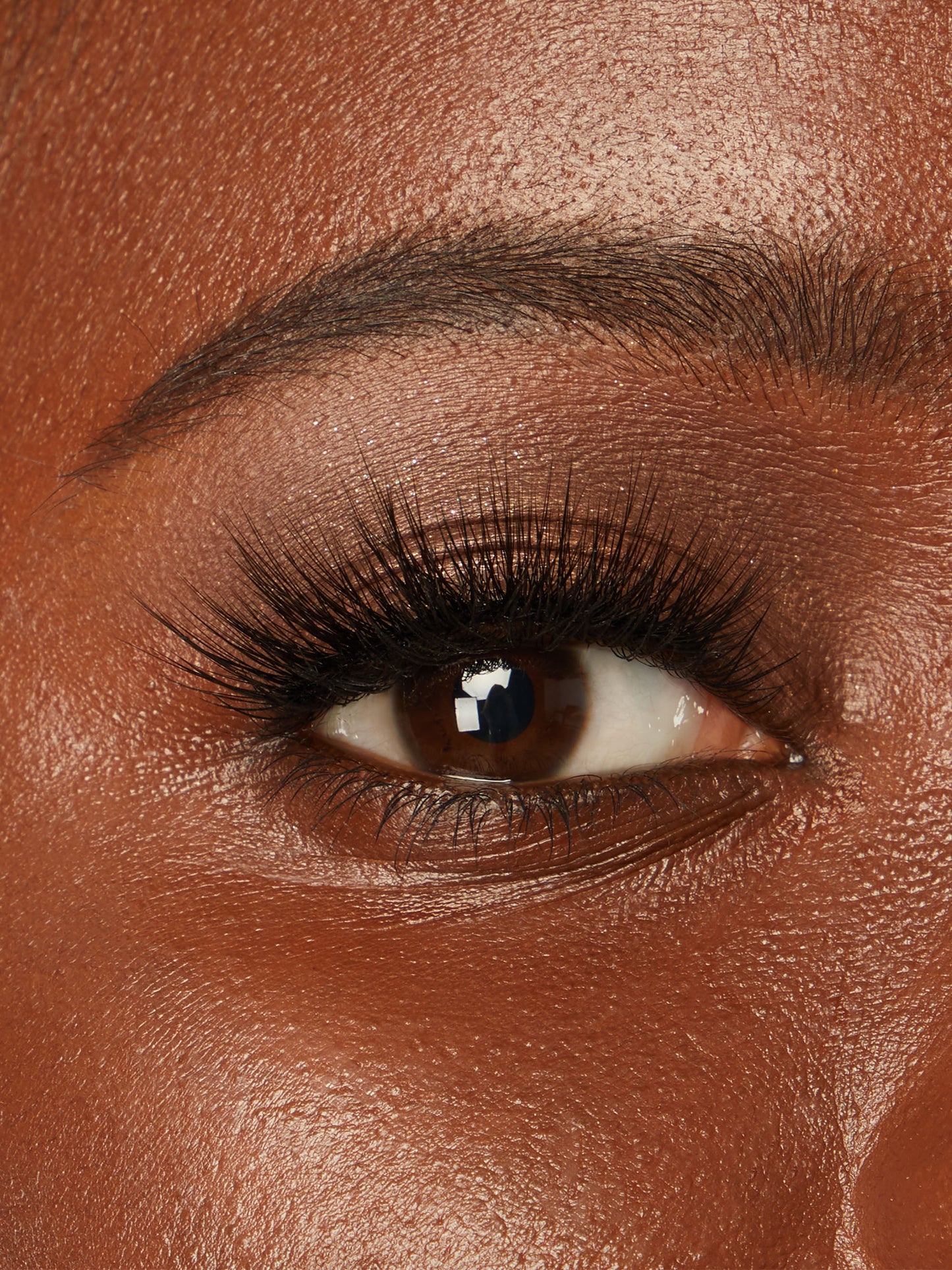Close-up of a brown eye with eyelashes and eyebrow