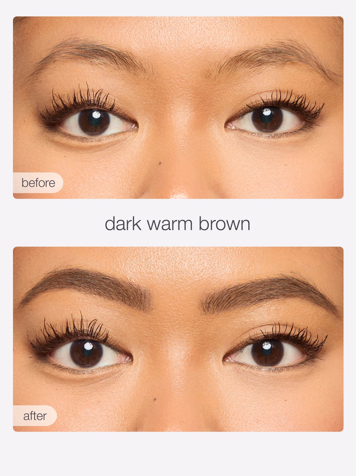 Before and after comparison of dark warm brown eyebrow color on a person's face.