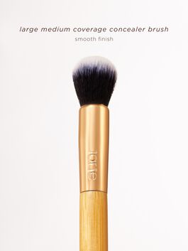 large medium coverage concealer brush image number null