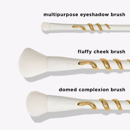 secrets from the Amazon brush set image number null