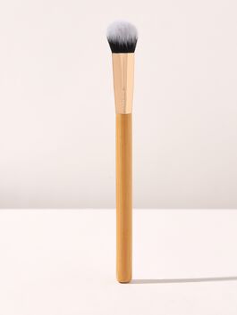concealer paw brush image number null