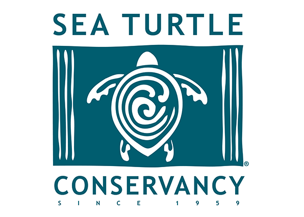 sea turtle conservancy